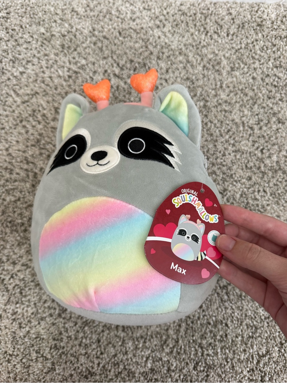 Valentines Day Edition Raccoon Squishmallow 💘 - Picture 3 of 3